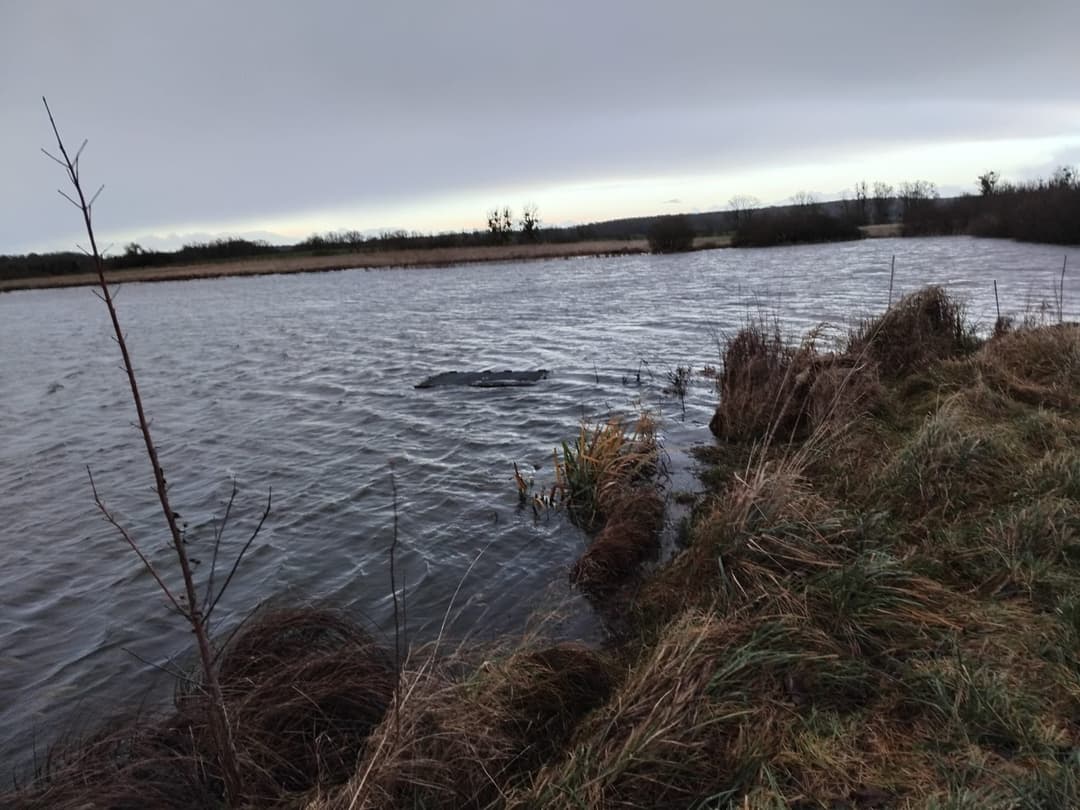 Deux étang de 5ha et 1ha à louer pour pêcher 