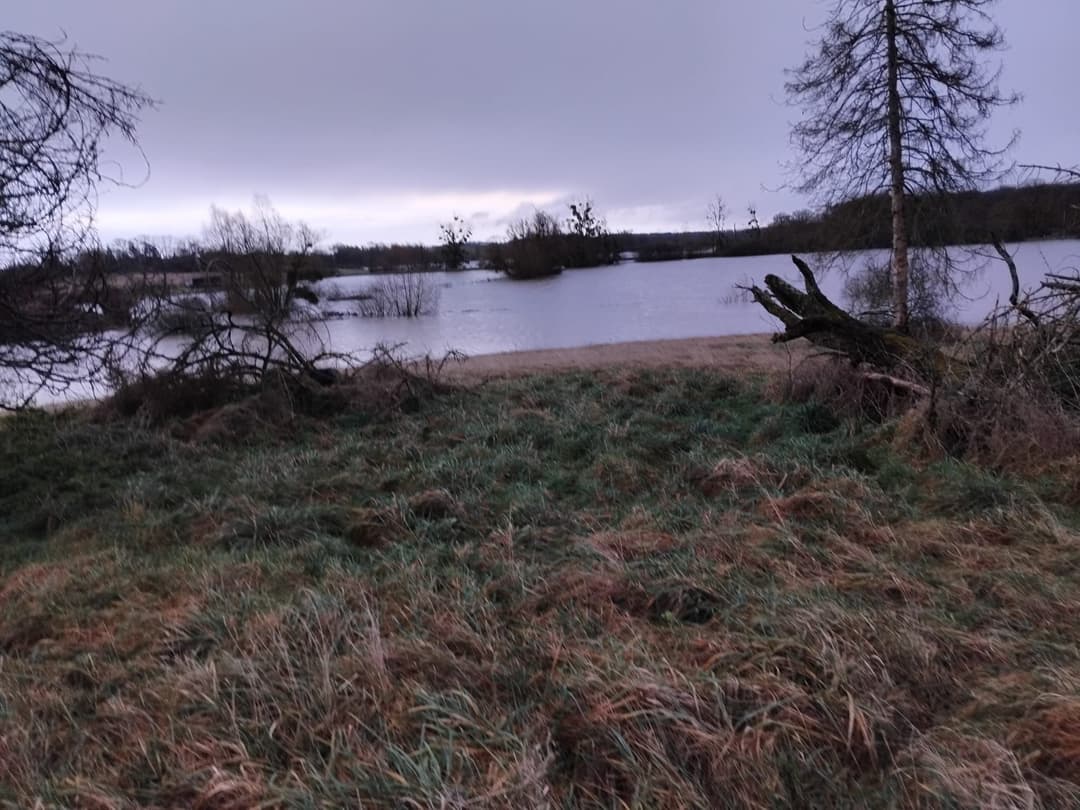 Deux étang de 5ha et 1ha à louer pour pêcher 