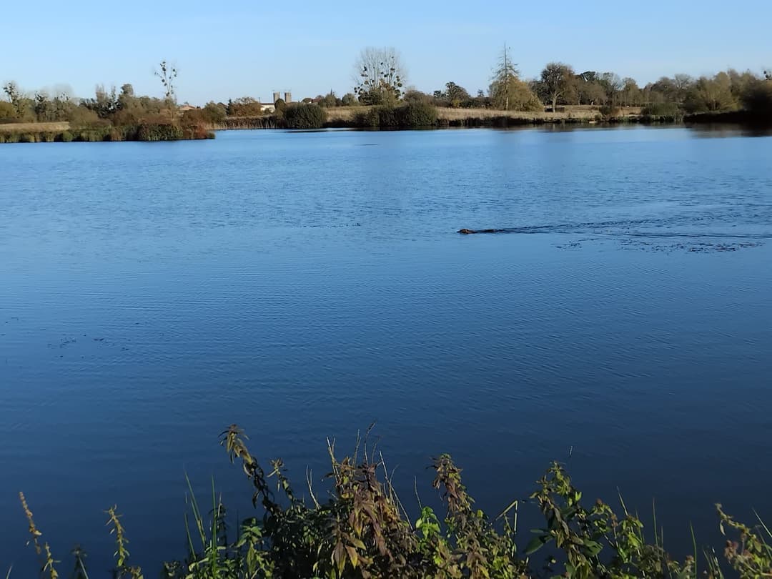 Deux étang de 5ha et 1ha à louer pour pêcher 
