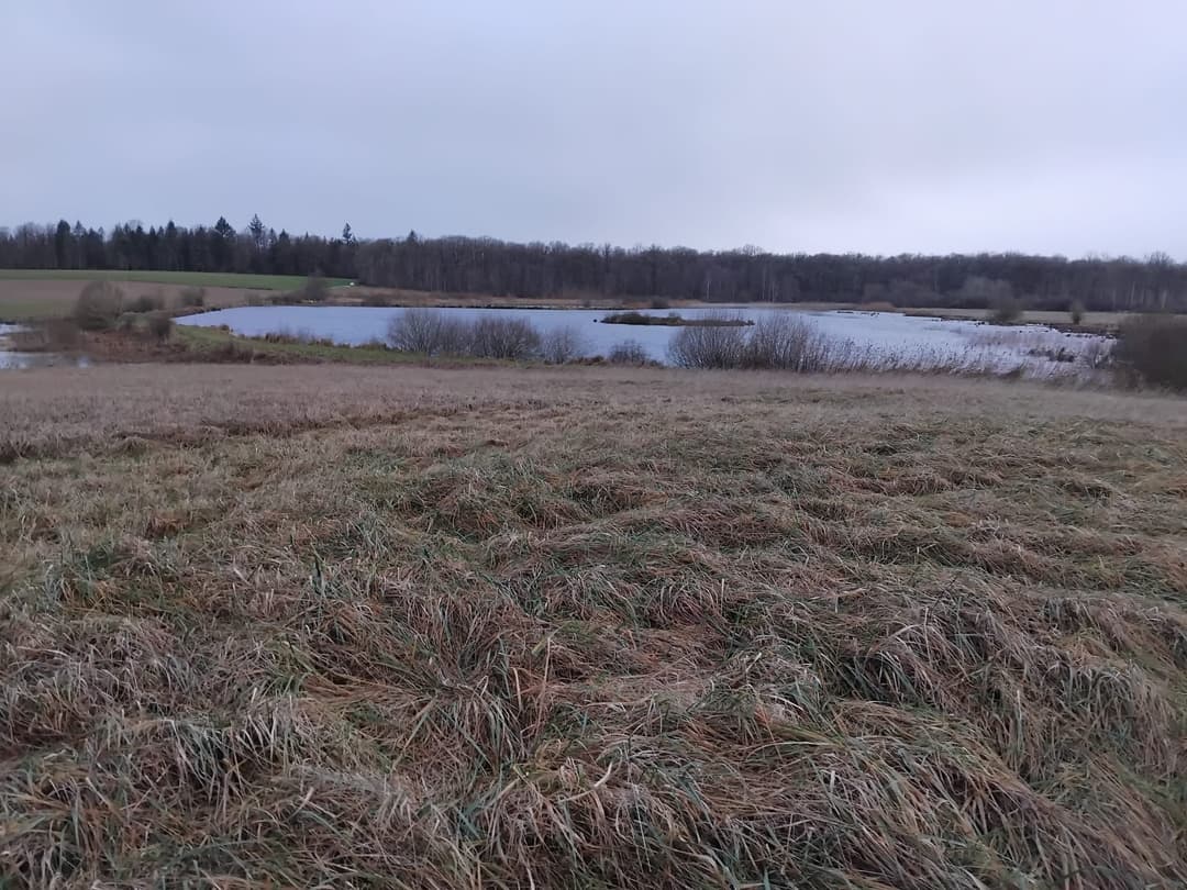 Deux étang de 5ha et 1ha à louer pour pêcher 