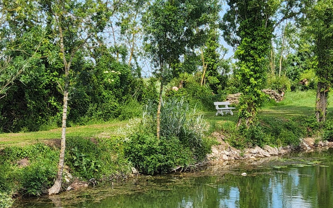 Location étang avec mobil home entre mer et marais