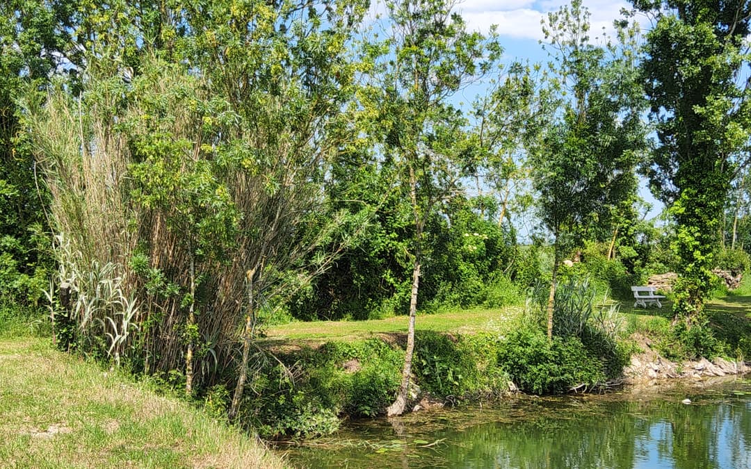 Location étang avec mobil home entre mer et marais