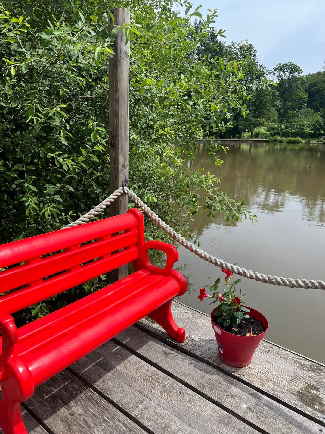 Petit coin de paradis à Fougerolles Saint Valbert en Haute-Saône 