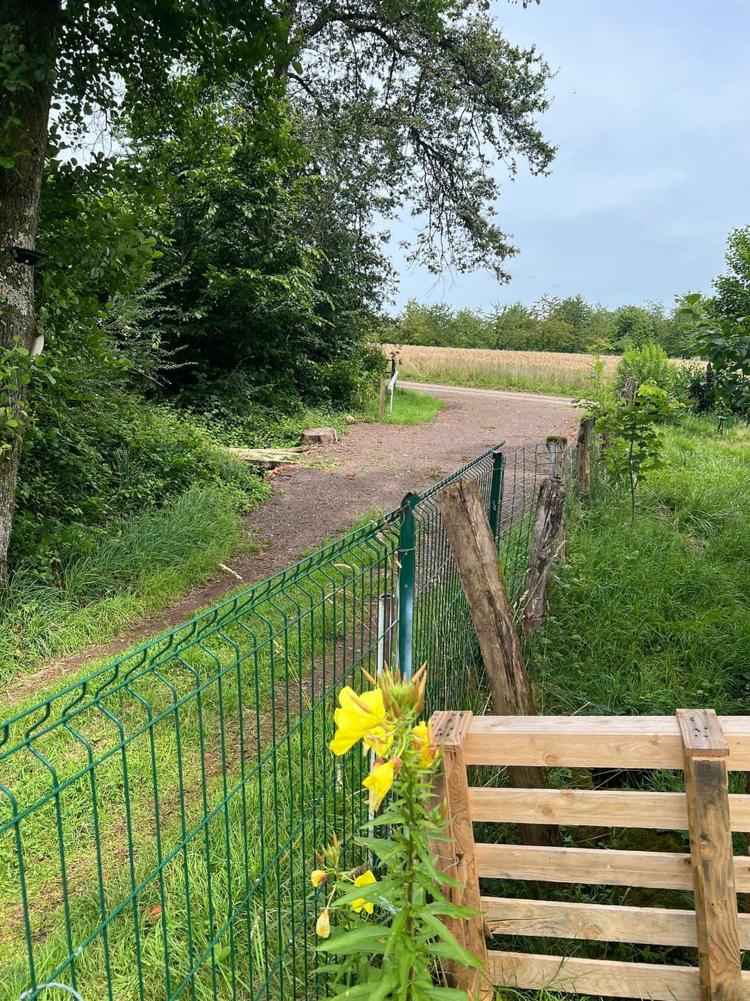 Petit coin de paradis à Fougerolles Saint Valbert en Haute-Saône 