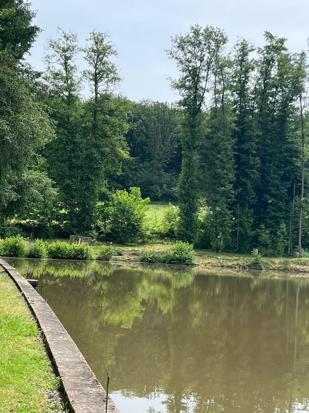 Petit coin de paradis à Fougerolles Saint Valbert en Haute-Saône 