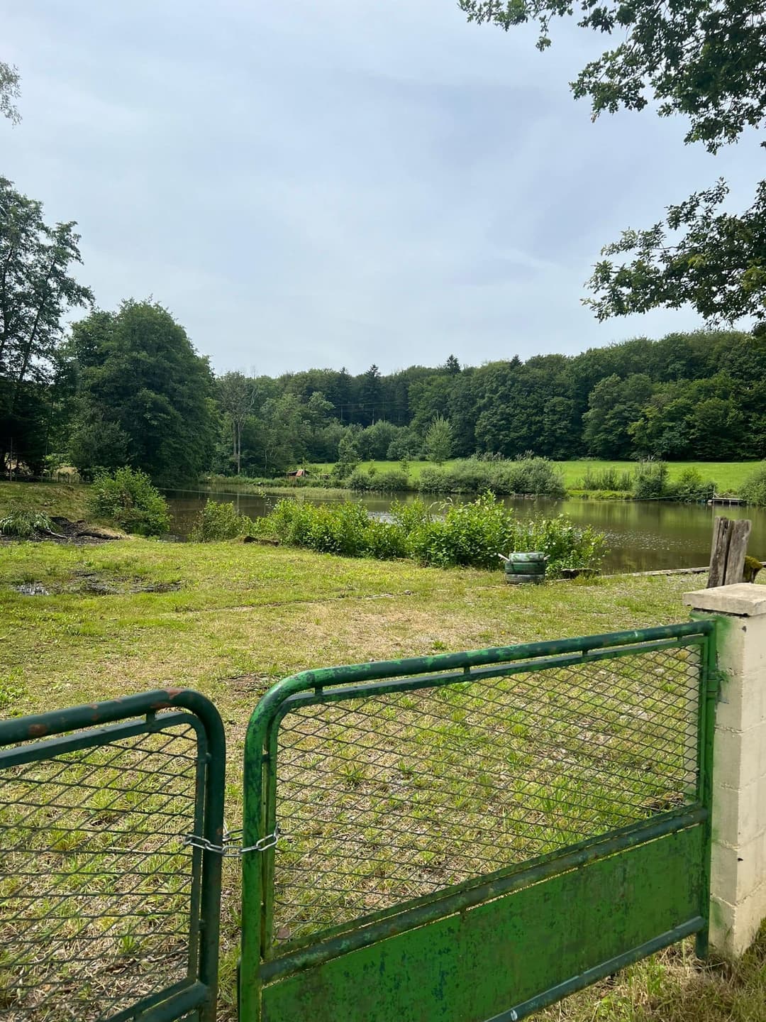 Petit coin de paradis à Fougerolles Saint Valbert en Haute-Saône 