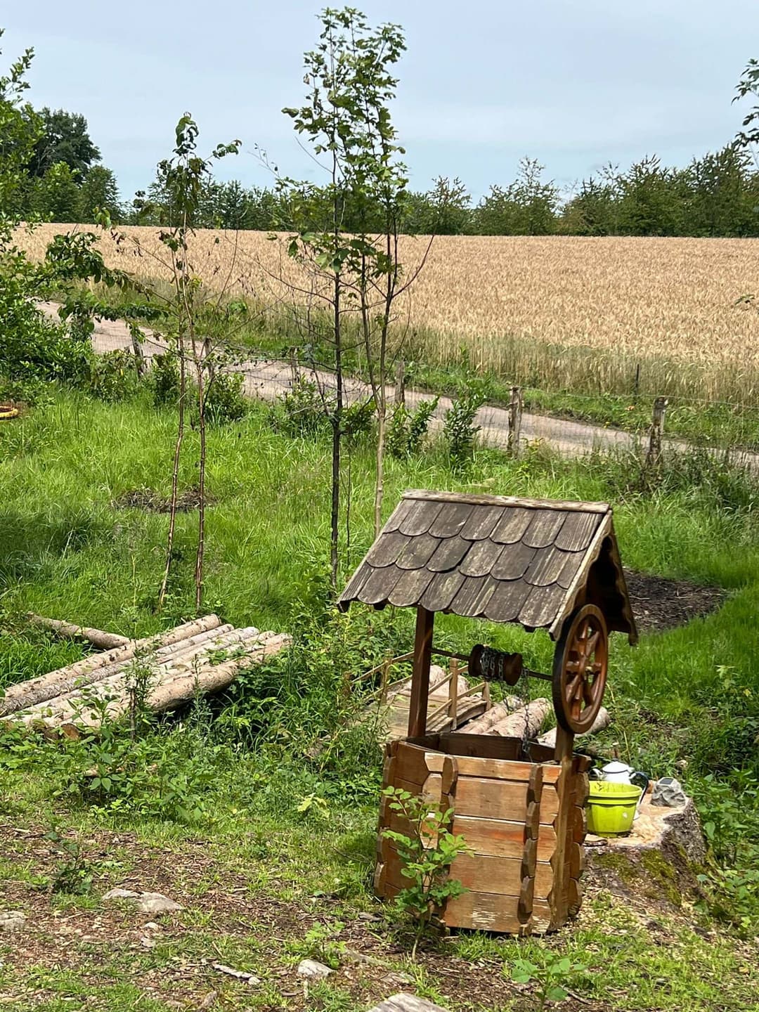 Petit coin de paradis à Fougerolles Saint Valbert en Haute-Saône 