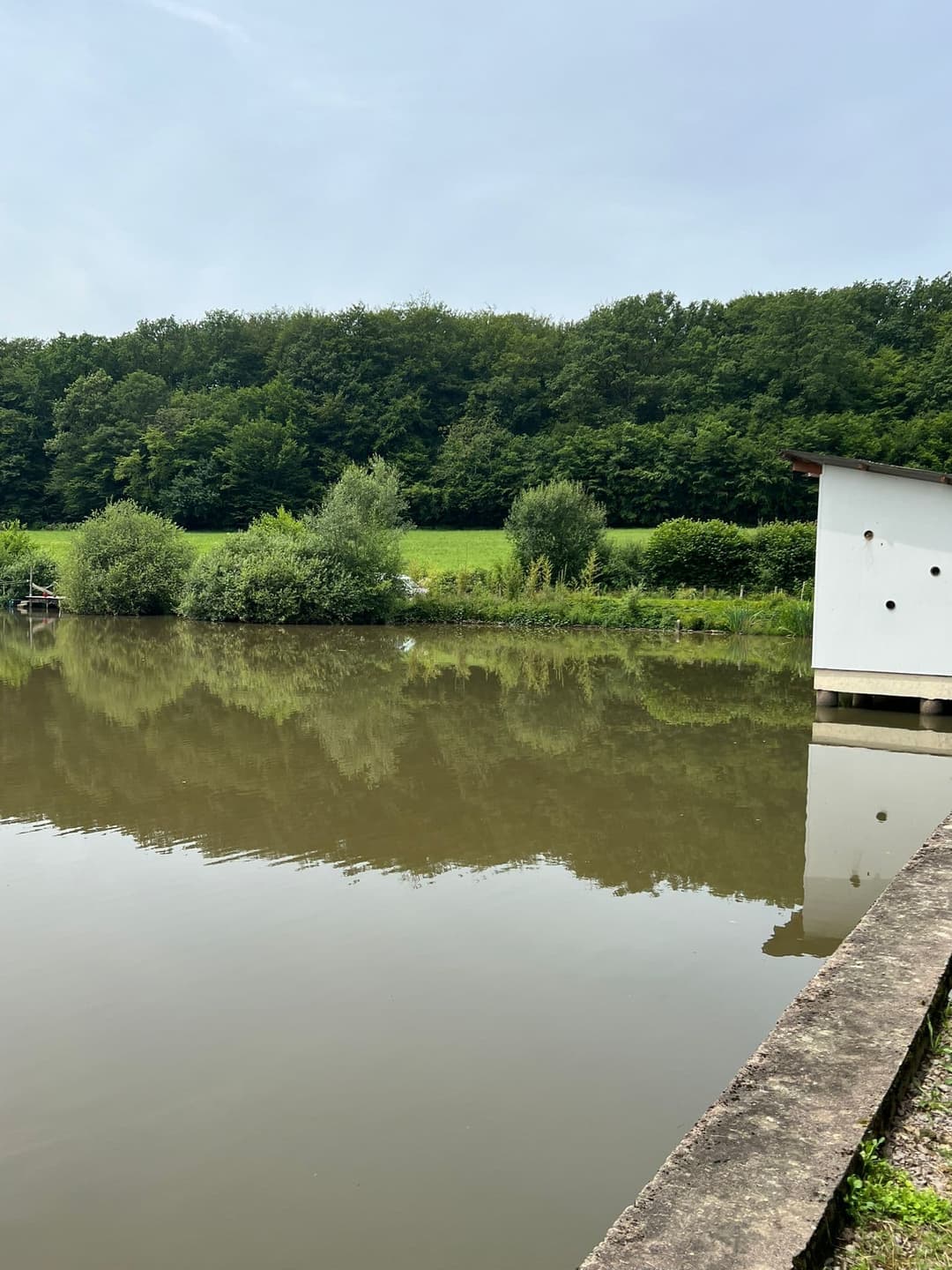 Petit coin de paradis à Fougerolles Saint Valbert en Haute-Saône 