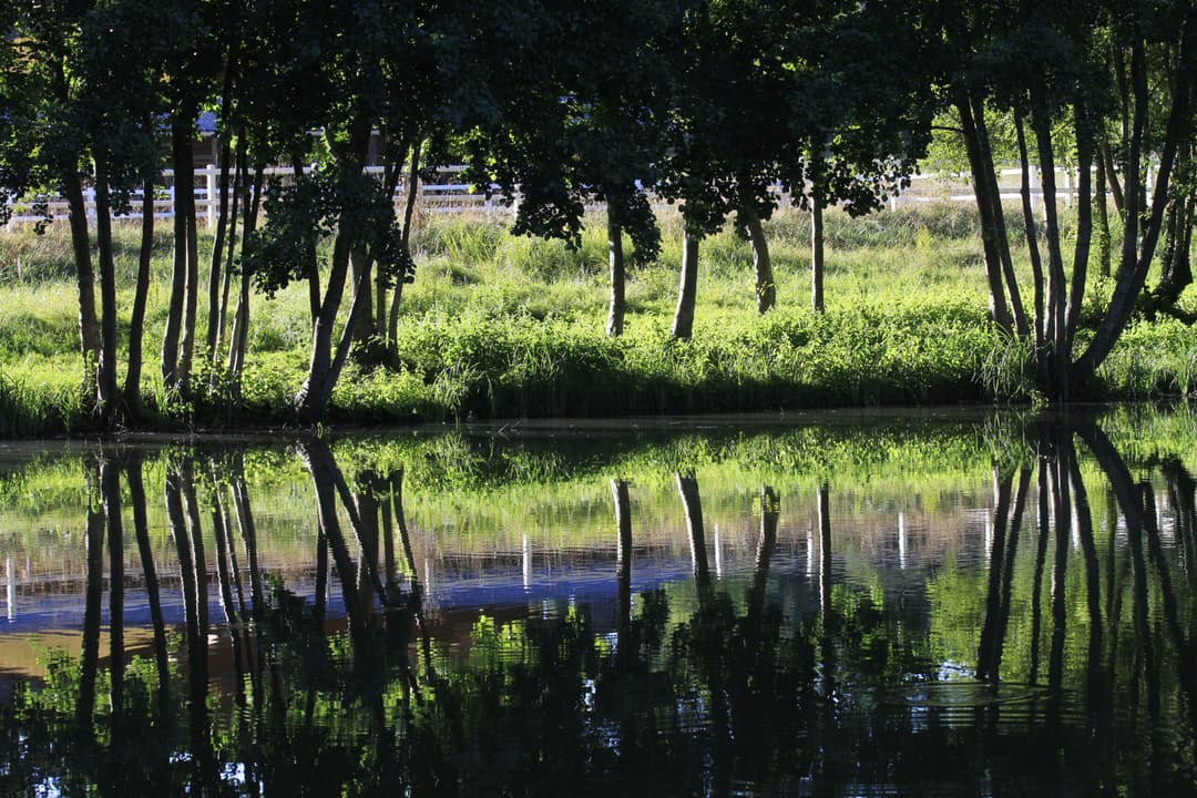 Étang à louer avec des kayaks dans le Périgord 