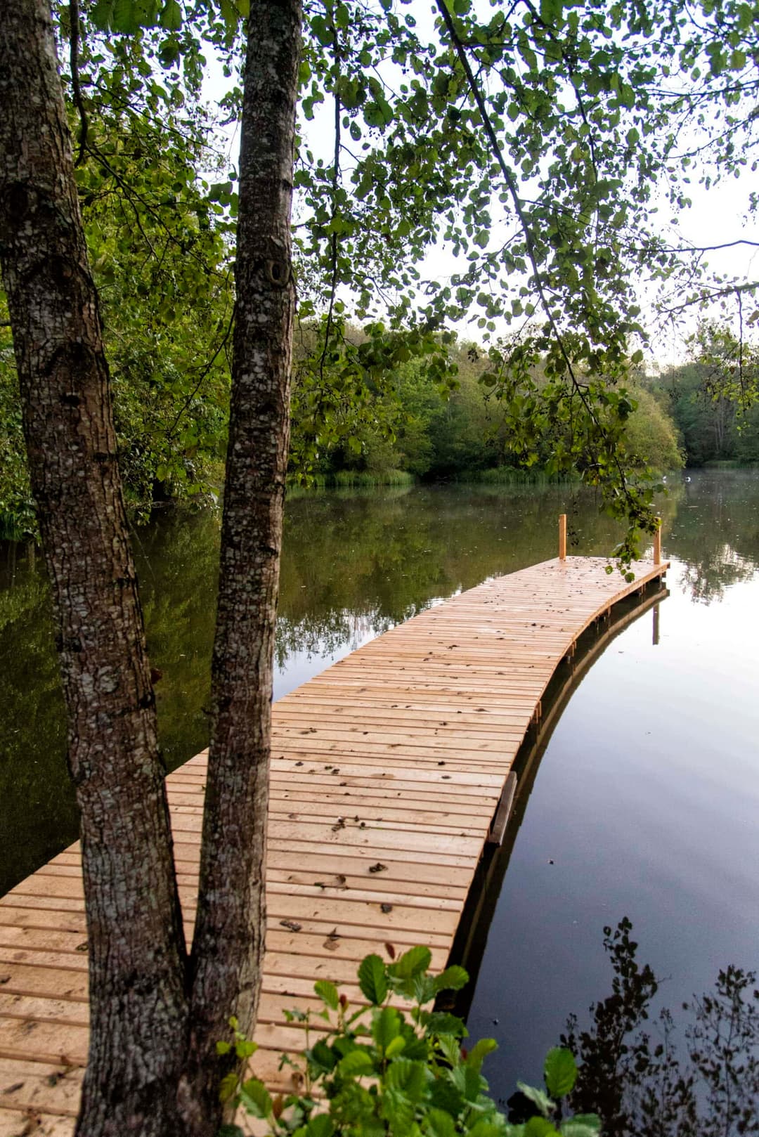 Vacances au bord de l’eau avec un gite 8 couchages, une piscine et son étang 