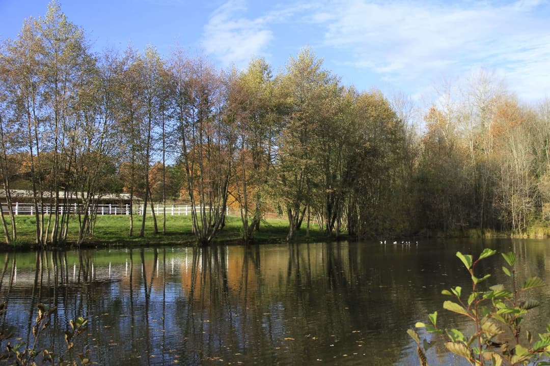 Étang à louer avec des kayaks dans le Périgord 