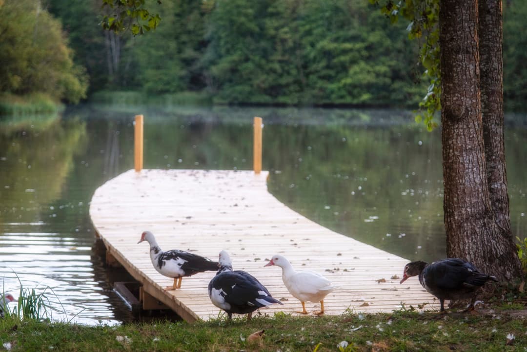 Étang à louer avec des kayaks dans le Périgord 