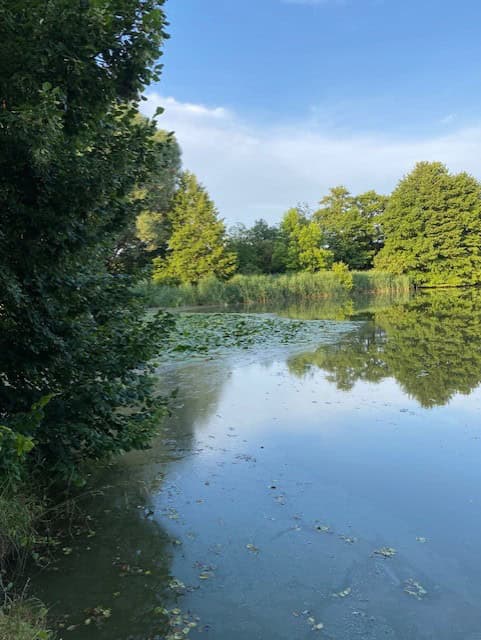 Etang de 1.2 hectare au milieu de la campagne 