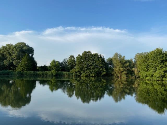 Etang de 1.2 hectare au milieu de la campagne 