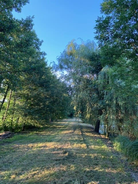 Etang de 1.2 hectare au milieu de la campagne 