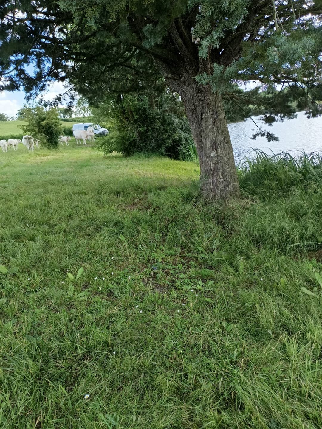 Étang privé de 2 hectares 