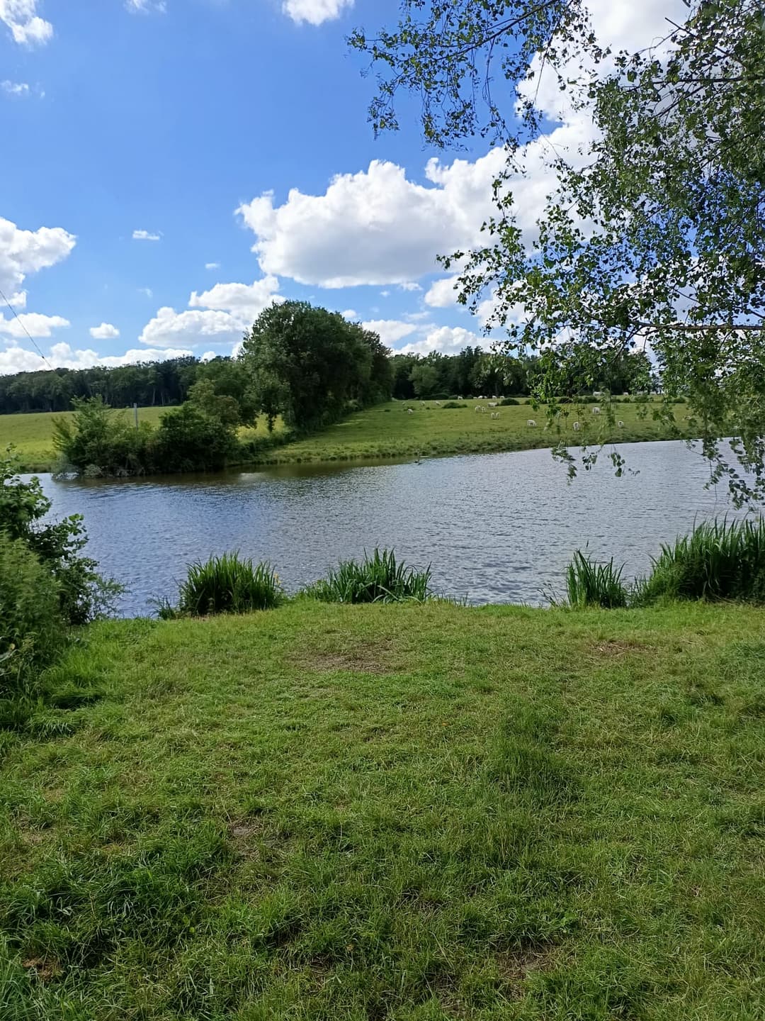 Étang privé de 2 hectares 