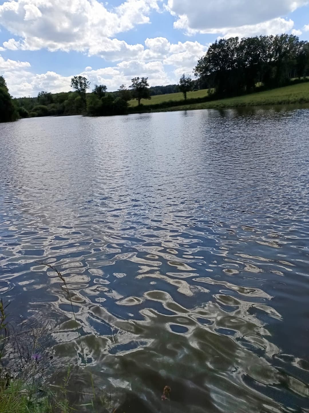 Étang privé de 2 hectares 