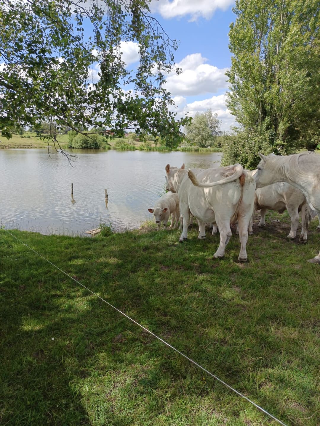 Étang privé de 2 hectares 