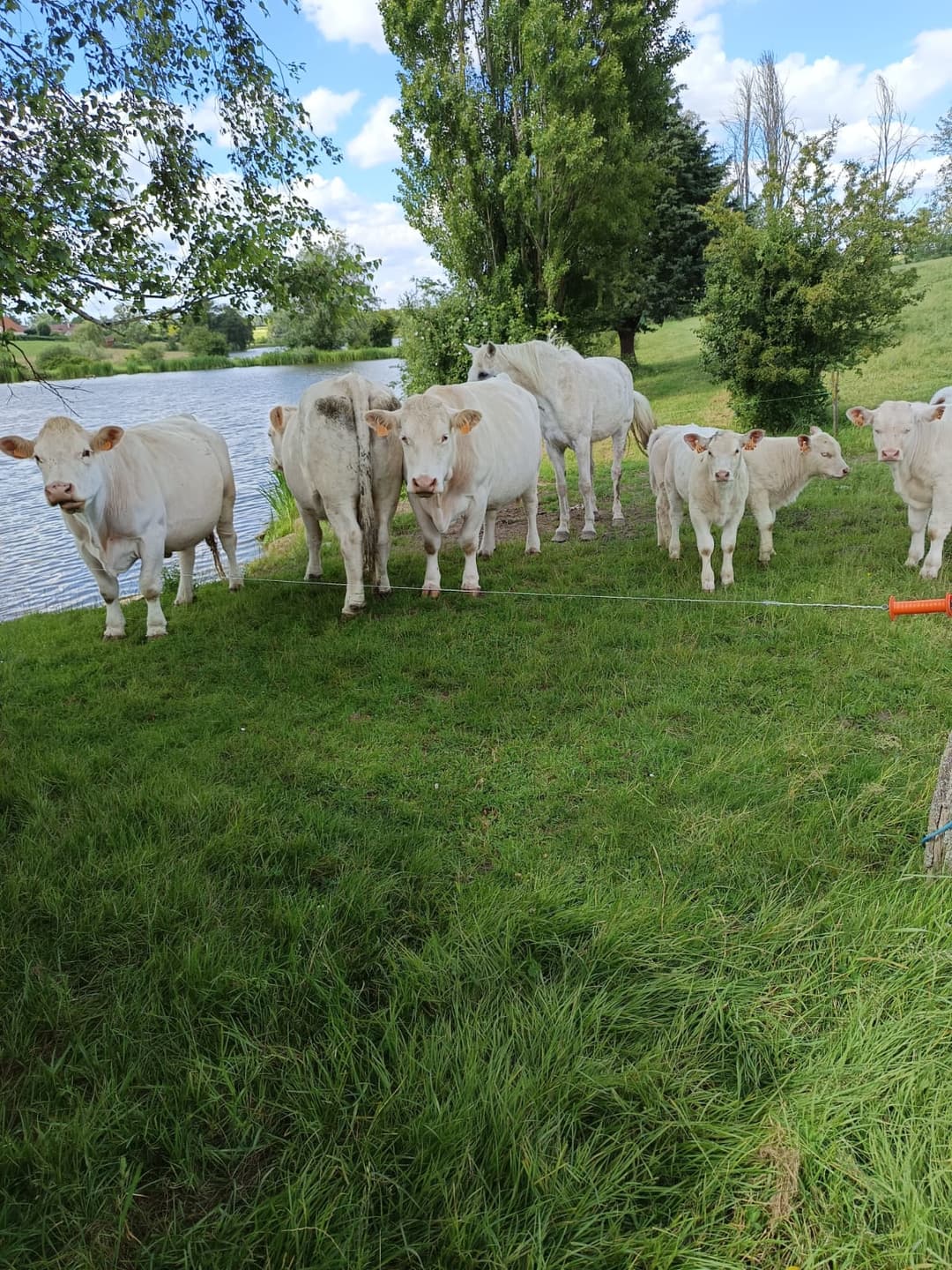 Étang privé de 2 hectares 