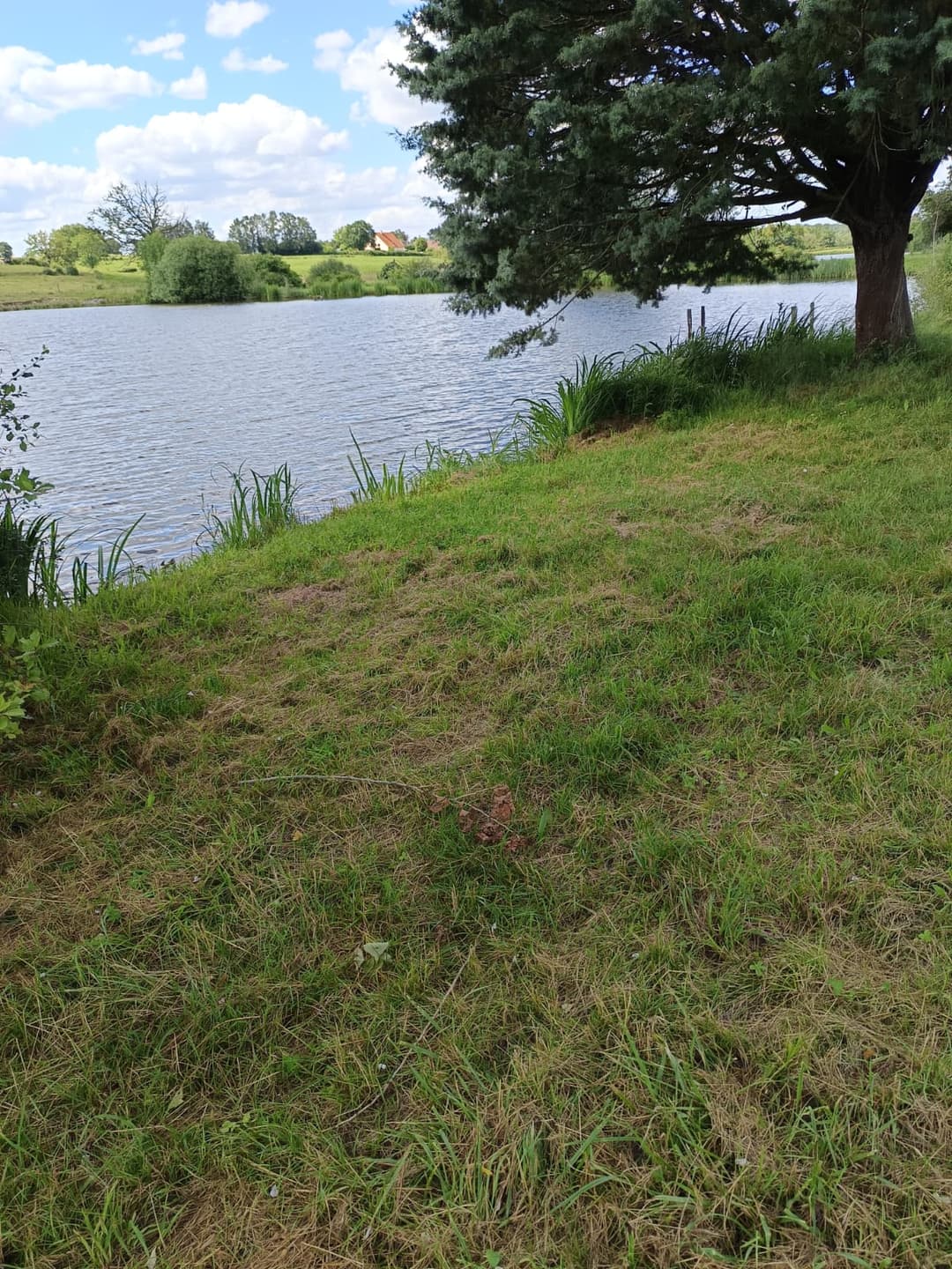 Étang privé de 2 hectares 
