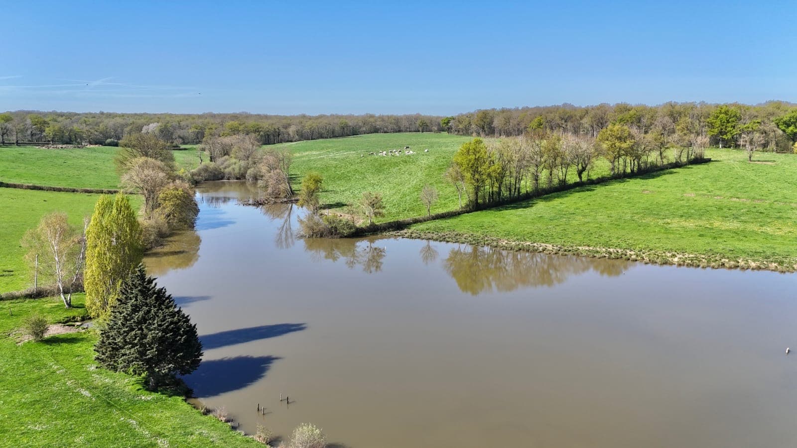 Étang privé de 2 hectares 