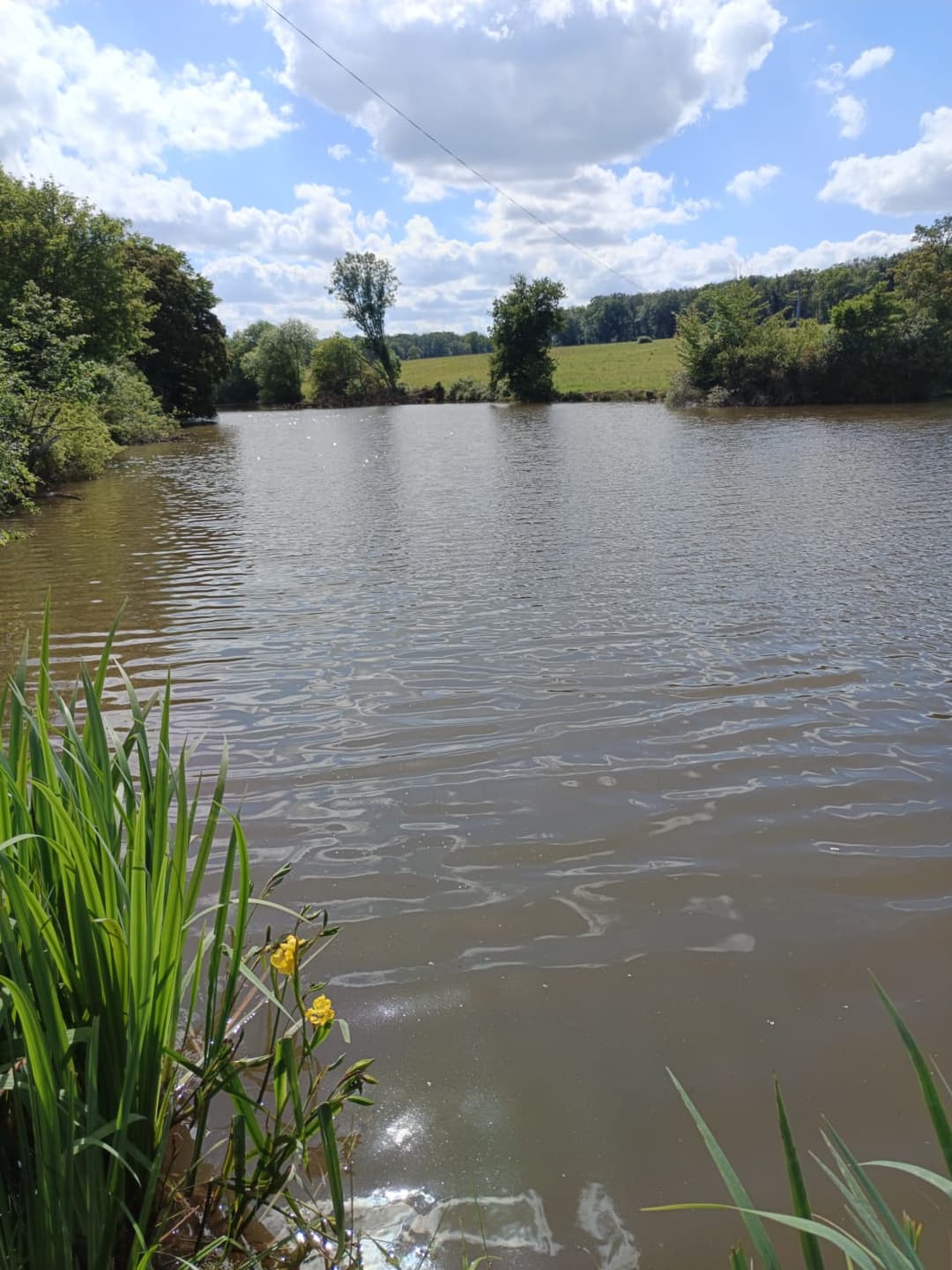 Étang privé de 2 hectares 