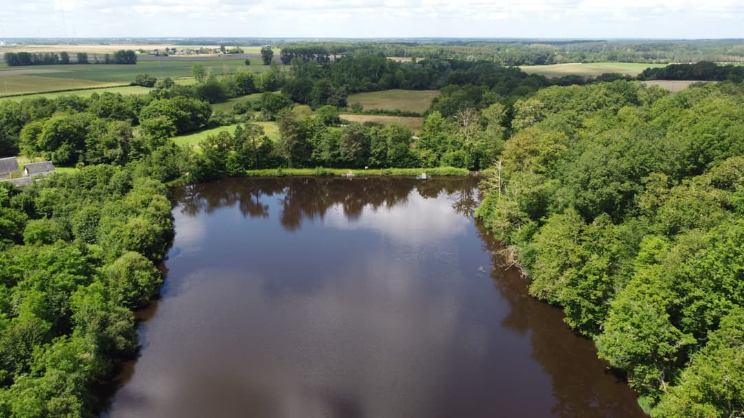 Gîte avec 2 étangs de 13 et 3 ha pour la pêche 