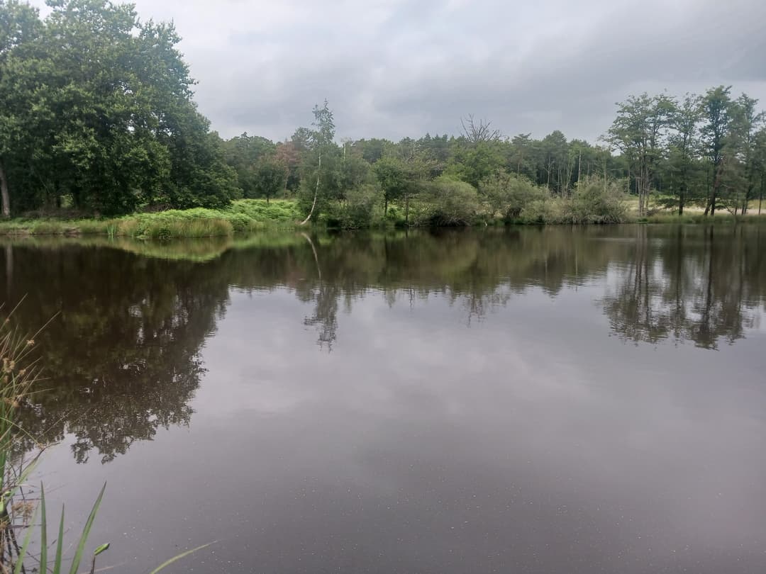Gîte avec 2 étangs de 13 et 3 ha pour la pêche 