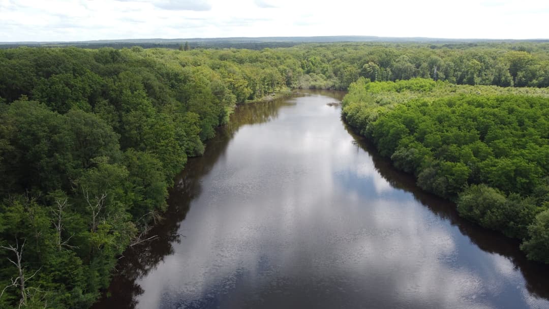Gîte avec 2 étangs de 13 et 3 ha pour la pêche 