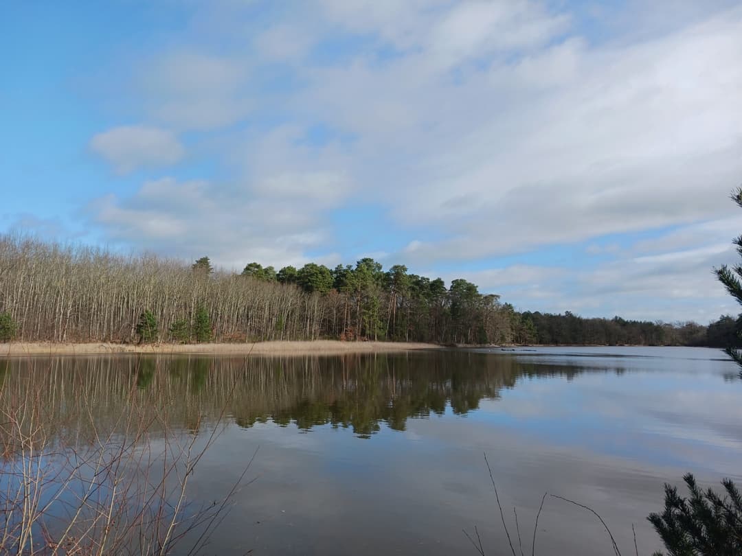 Gîte avec 2 étangs de 13 et 3 ha pour la pêche 