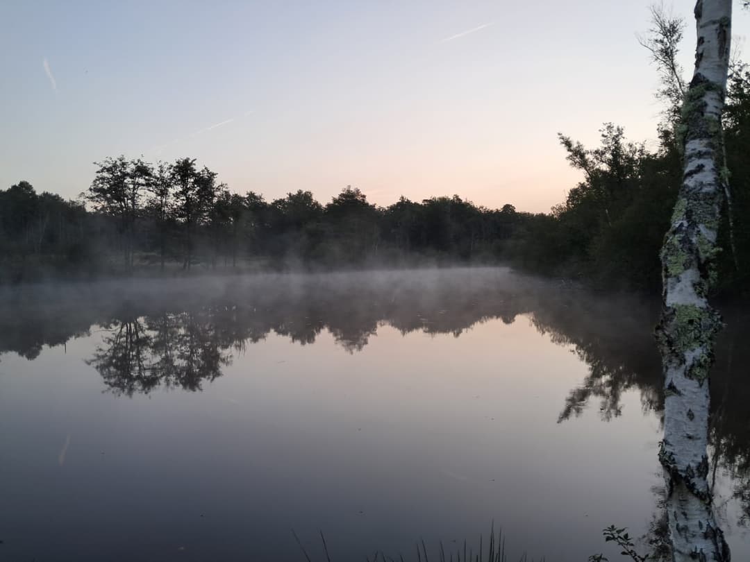 Gîte avec 2 étangs de 13 et 3 ha pour la pêche 