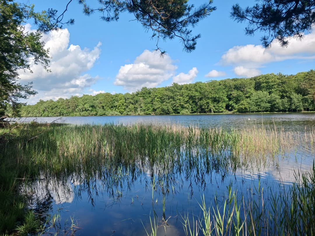 Gîte avec 2 étangs de 13 et 3 ha pour la pêche 