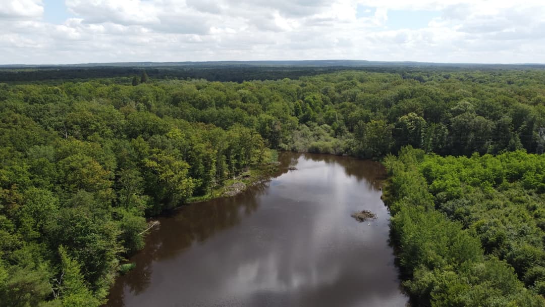 Gîte avec 2 étangs de 13 et 3 ha pour la pêche 