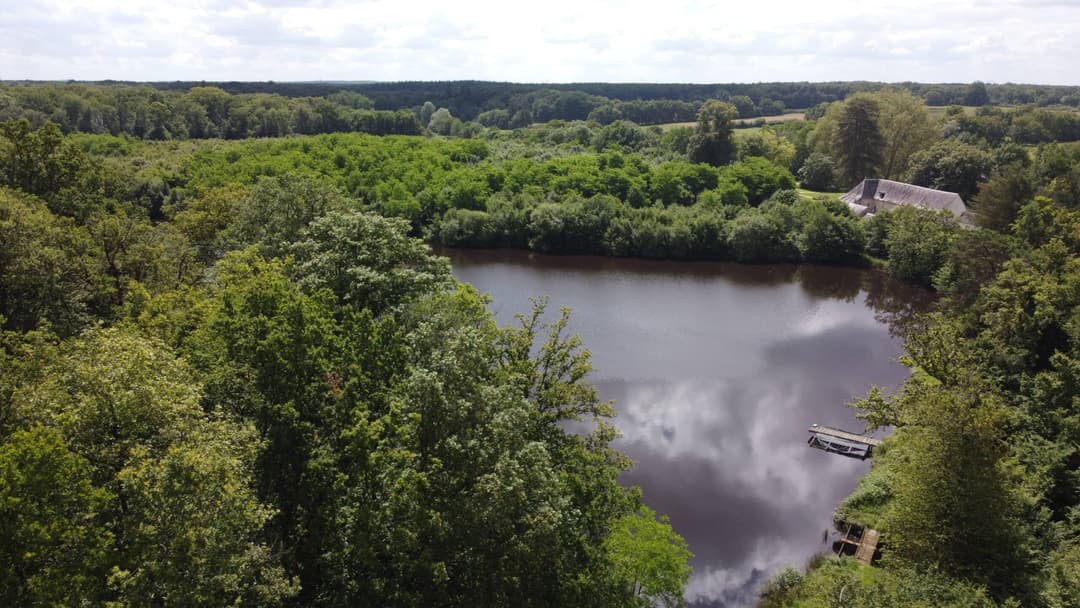 Gîte avec 2 étangs de 13 et 3 ha pour la pêche 