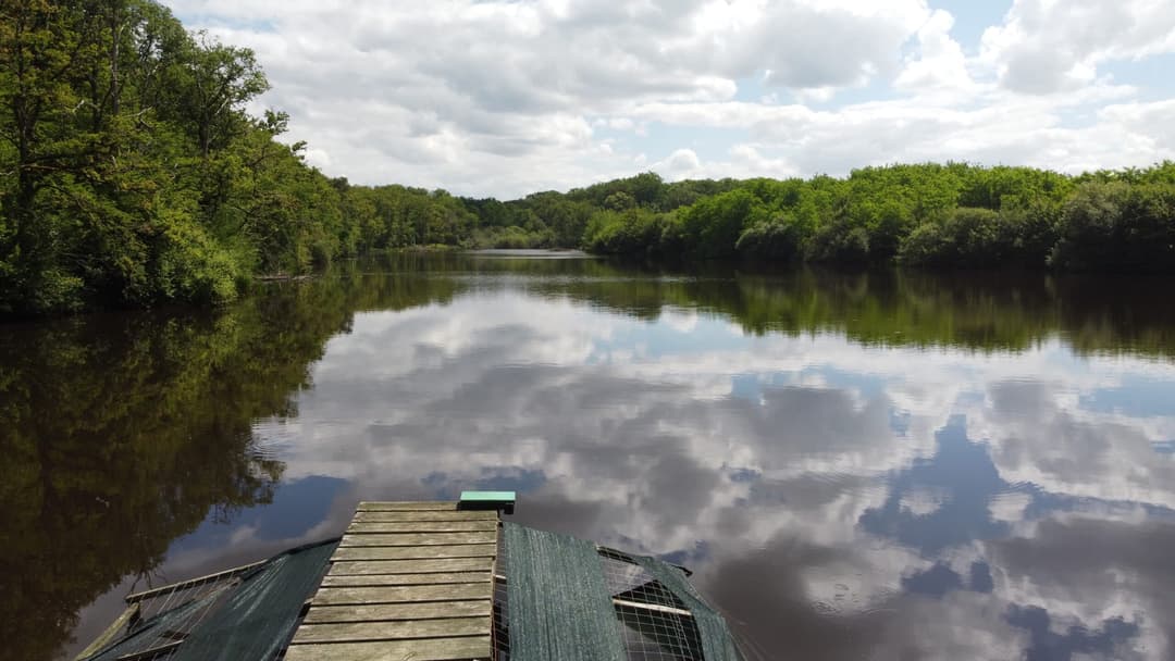 Gîte avec 2 étangs de 13 et 3 ha pour la pêche 