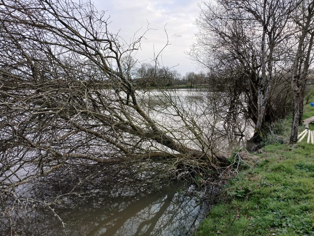 Étang privé en Vendée de 1,5 ha 