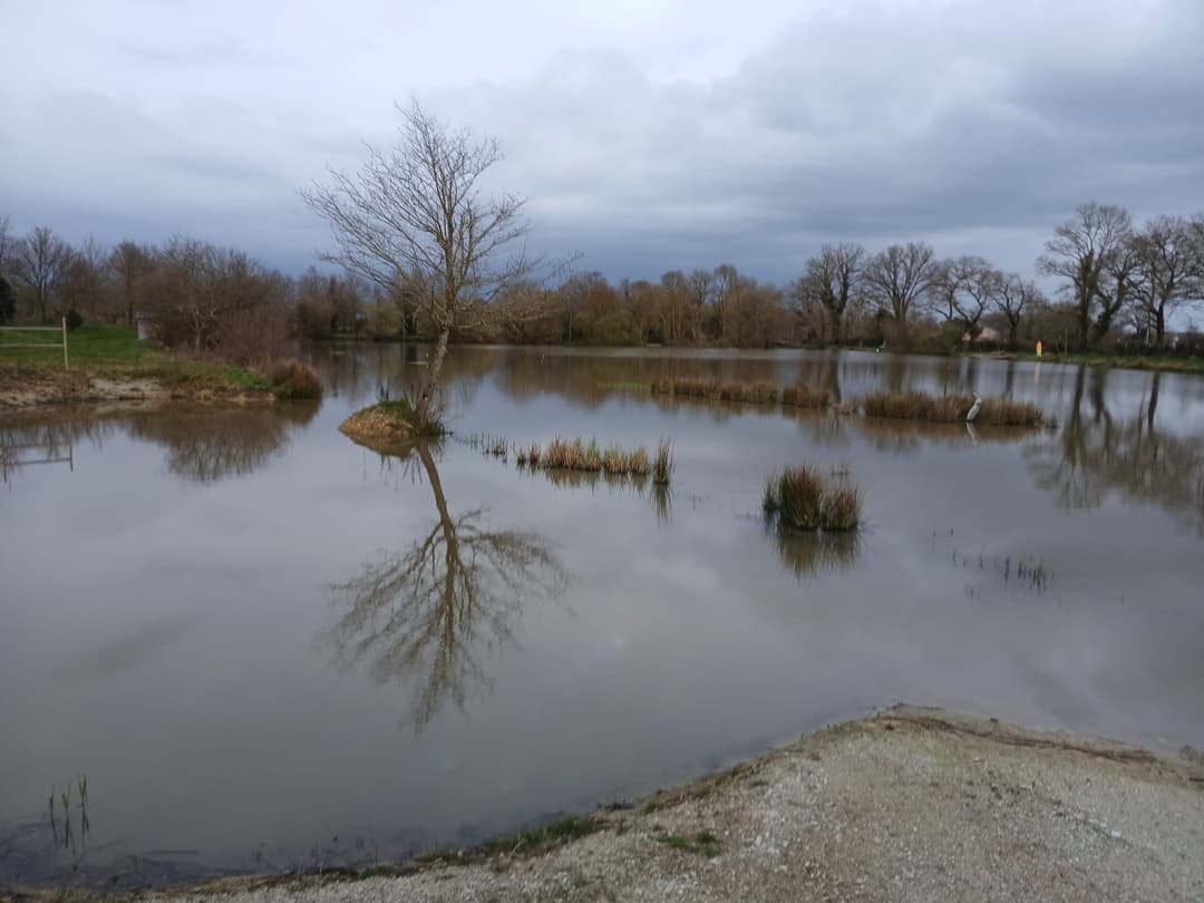 Étang privé en Vendée de 1,5 ha 