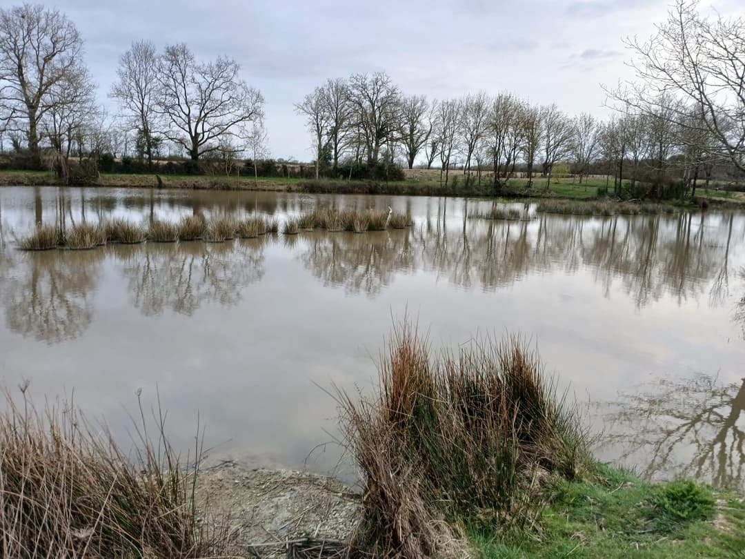 Étang privé en Vendée de 1,5 ha 
