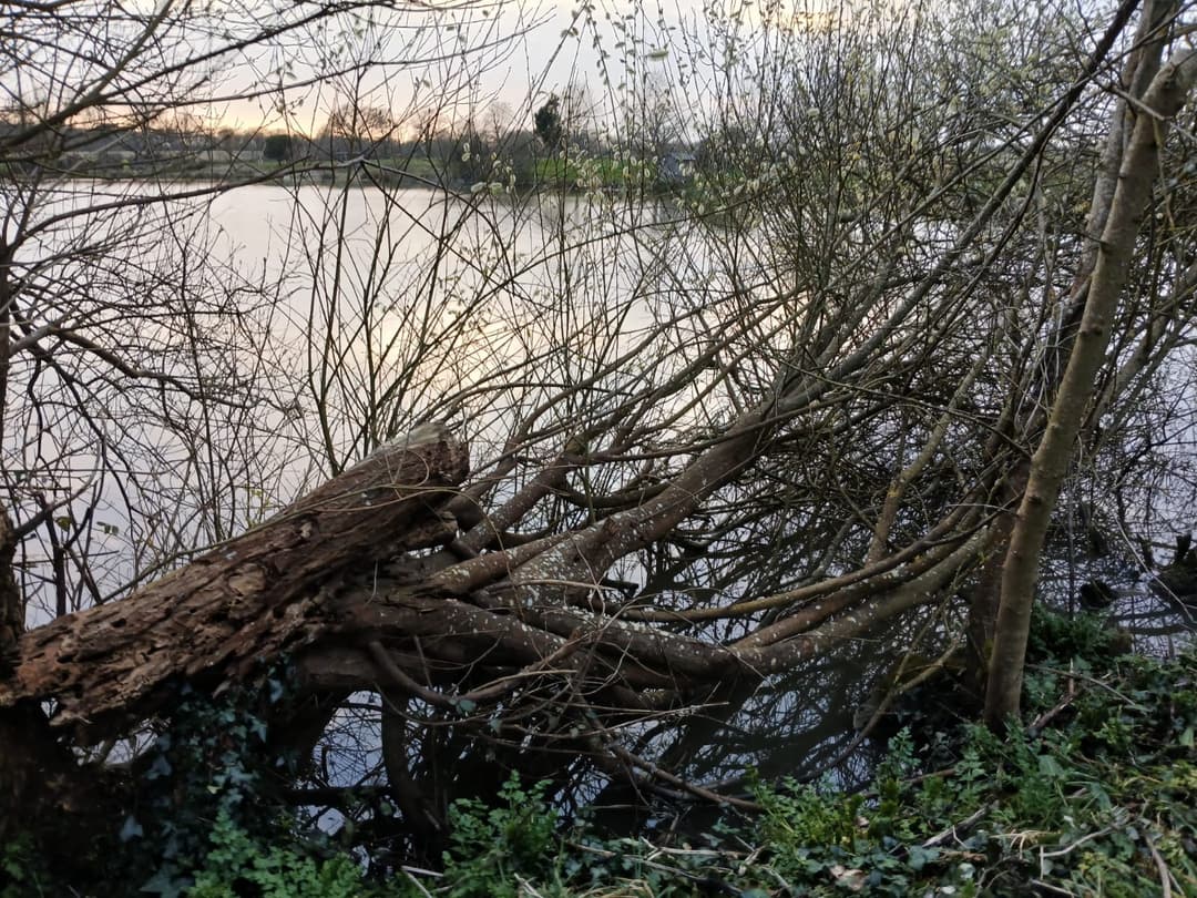 Étang privé en Vendée de 1,5 ha 