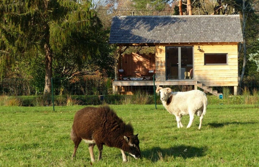 Cabane romantique avec jacuzzy au bord d’un petit étang 