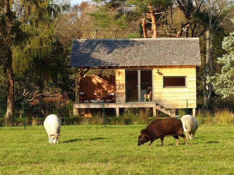 Cabane romantique avec jacuzzy au bord d’un petit étang 
