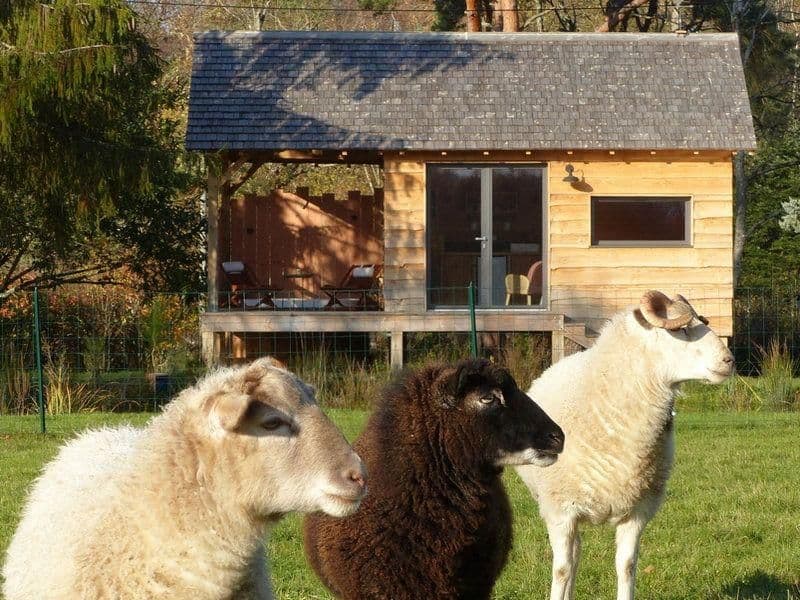 Cabane romantique avec jacuzzy au bord d’un petit étang 