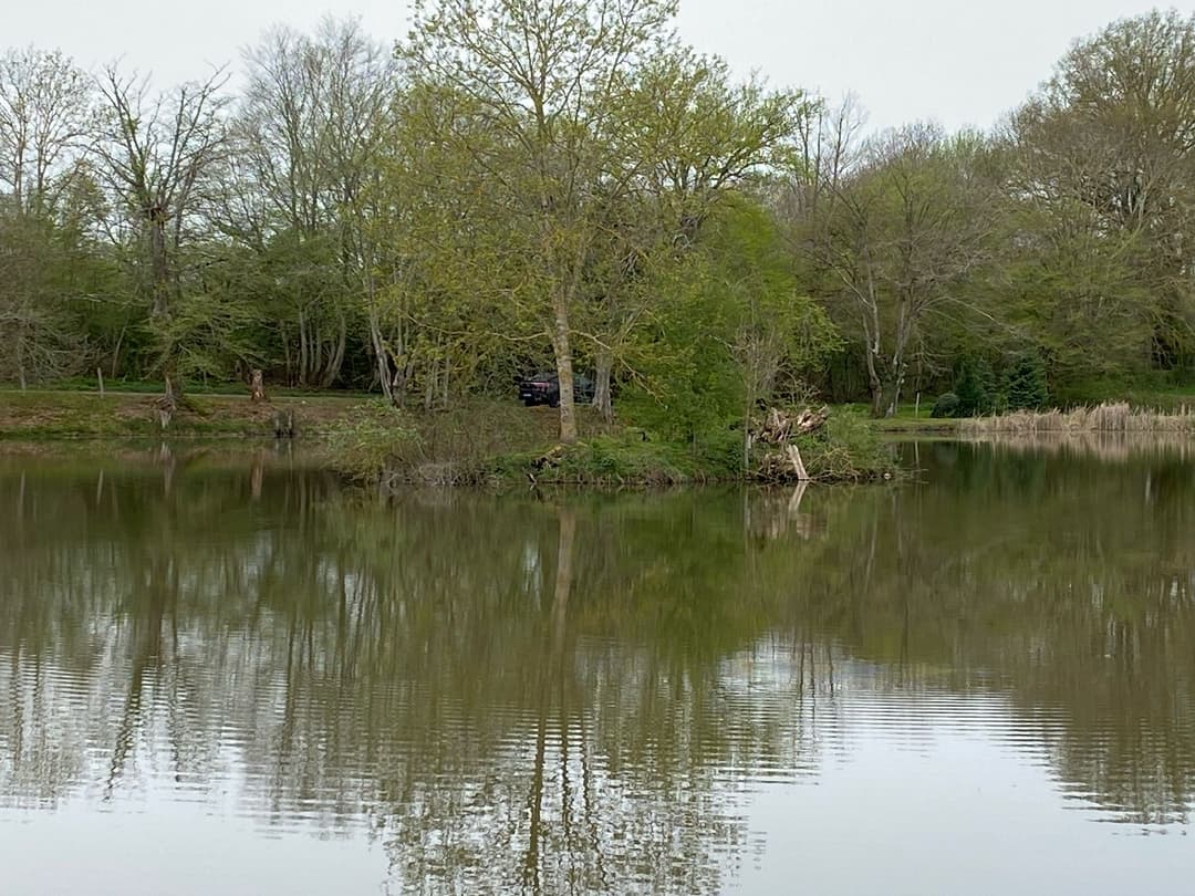 Étang de 1,6ha au coeur de la nature 