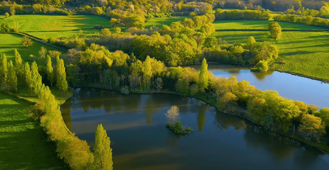 Étang de 1,6ha au coeur de la nature 
