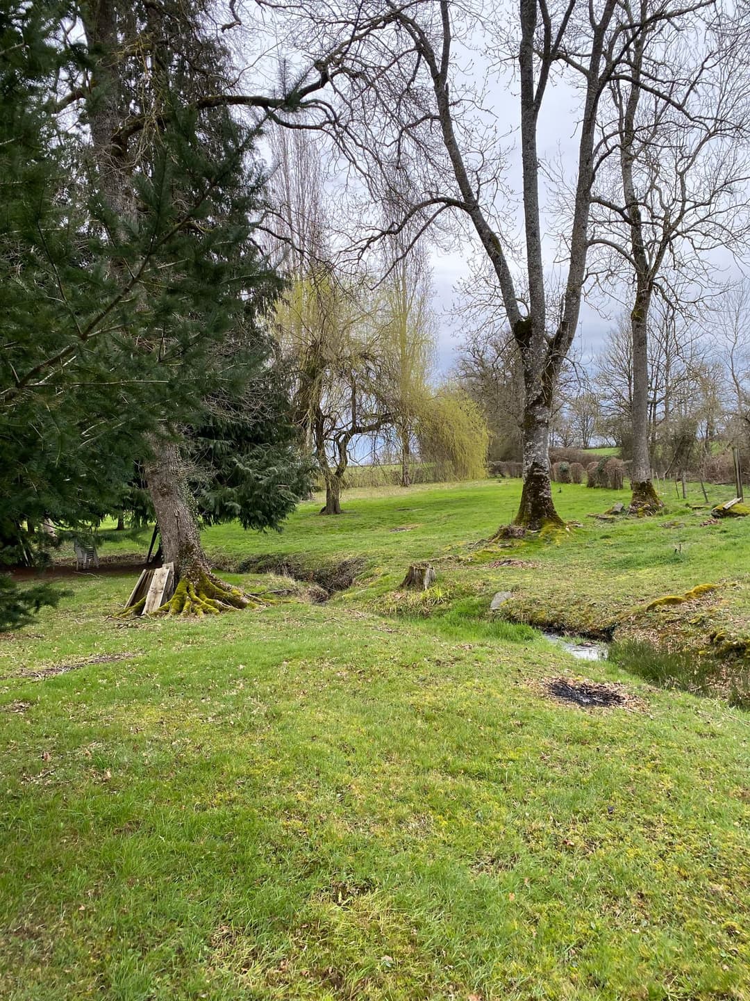 Étang de 1,6ha au coeur de la nature 