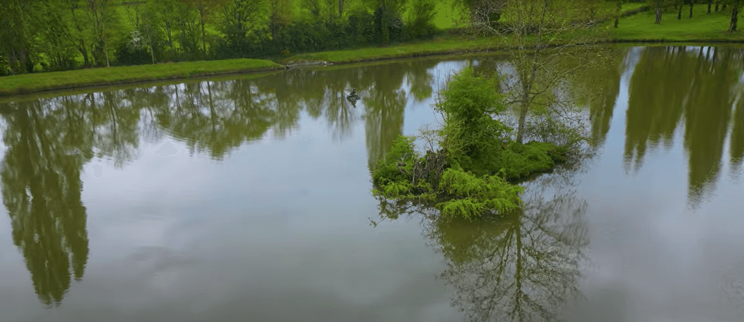 Étang de 1,6ha au coeur de la nature 