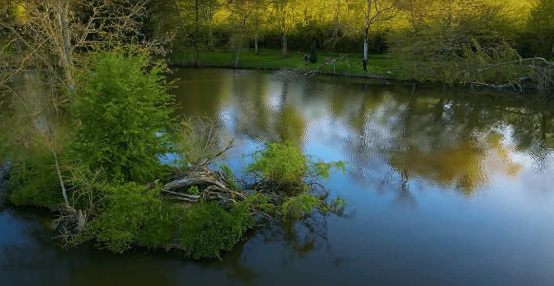 Étang de 1,6ha au coeur de la nature 