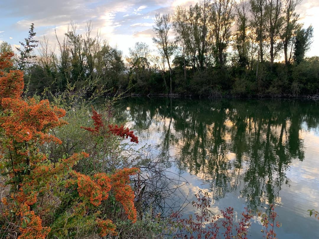 Cabane au bord d’un lac privé 