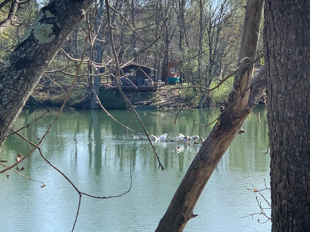 Cabane au bord d’un lac privé 
